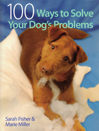 Unlock your dogs potential