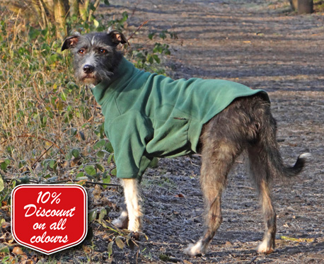 Monty with his smart new jumper