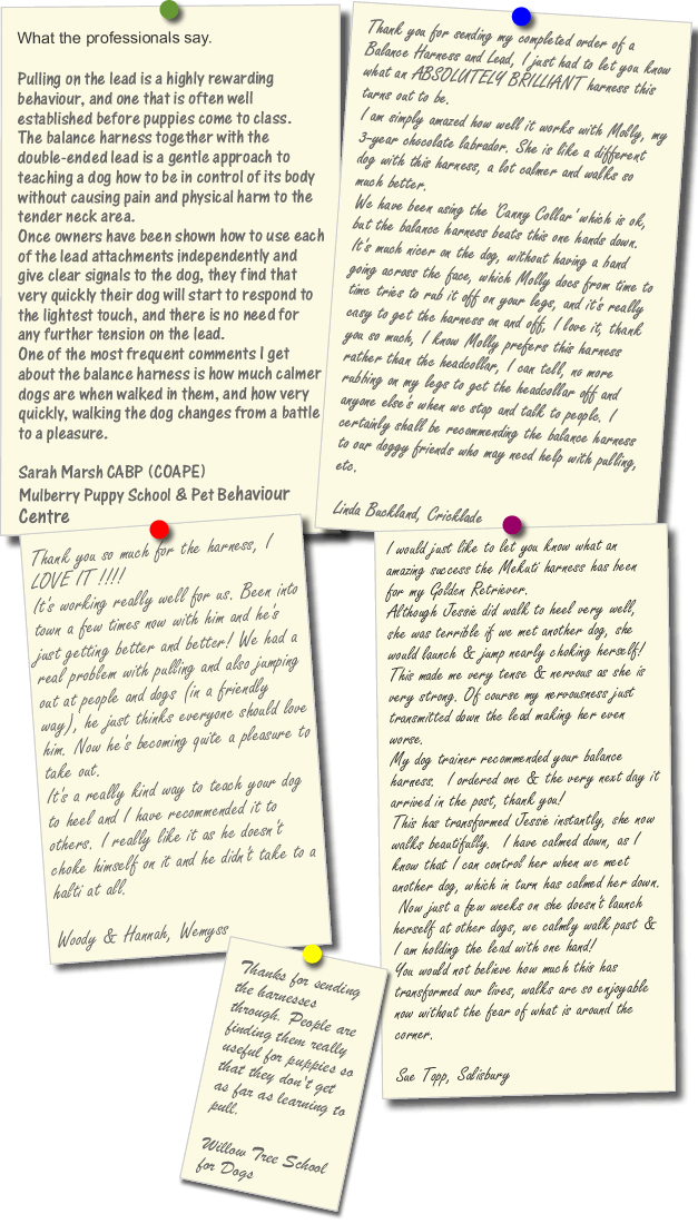 Dog Harness testimonials