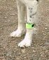 Mekuti Harness / Best dog harnesses and leads 2020: Keep your dog under ... : Low to £2.50 at mekuti when you.