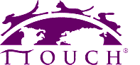 ttouch logo